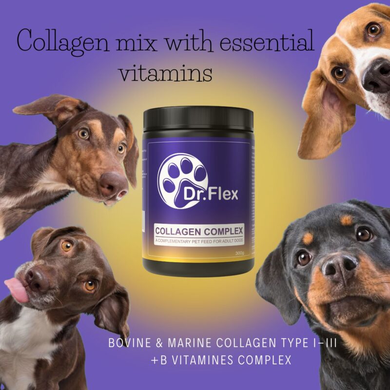 Dr.Flex kolageno kompleksas su B grupės vitaminais - Image 3