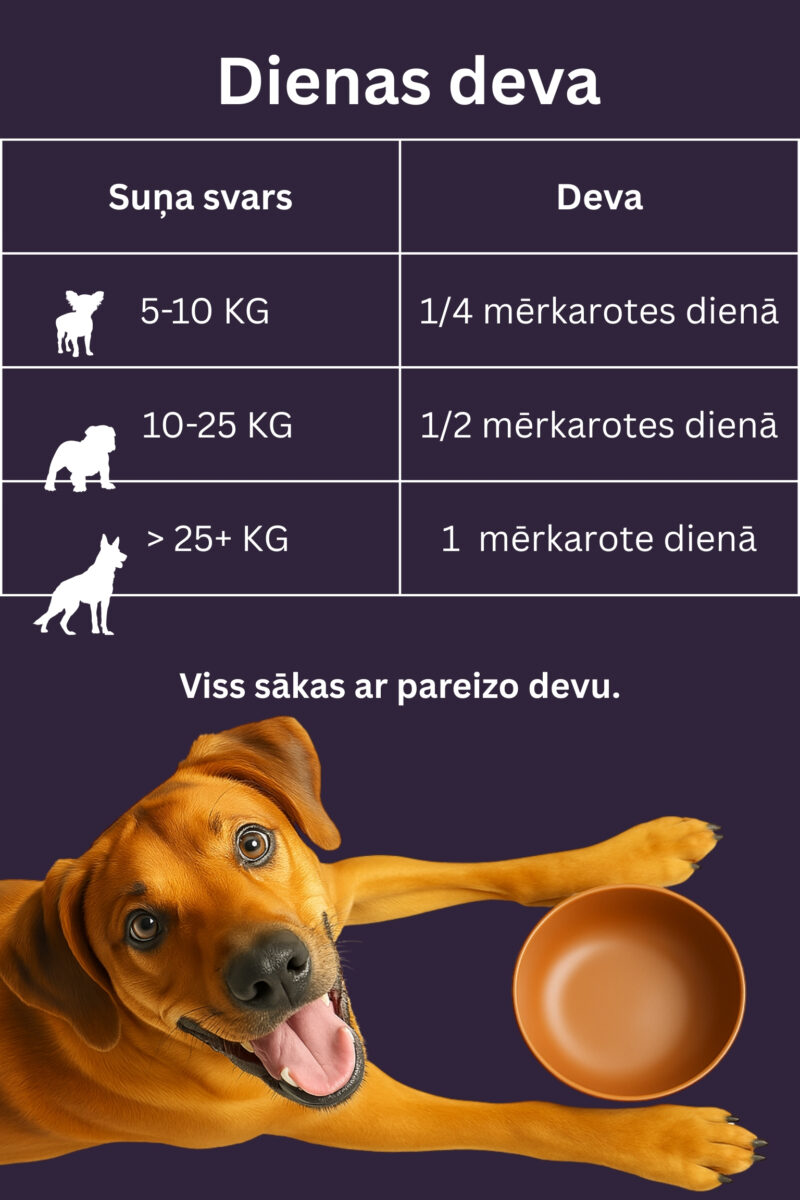 Dr.Flex kolagēna komplekss ar B grupas vitamīniem - Image 4