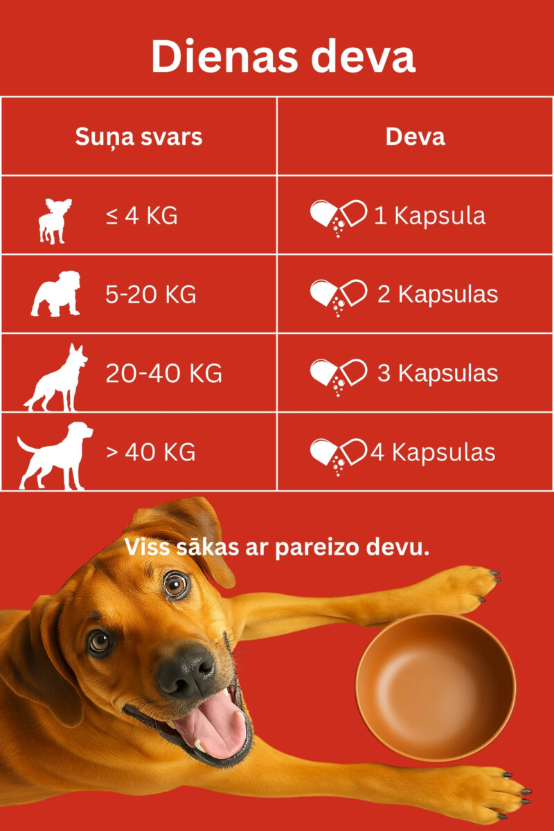 Dr.Flex Locītavu komplekss - Image 3