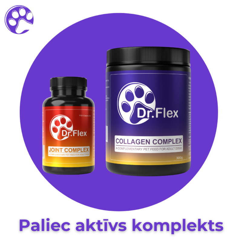 Paliec aktīvs komplekts