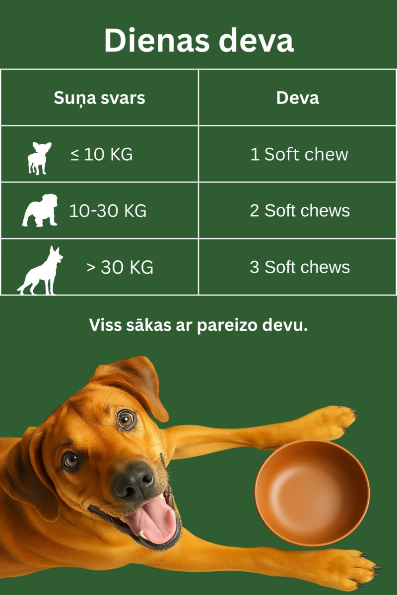 Gremošanu veicinoši gardumi - Image 2